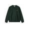 Carhartt Wip sweater green 1
