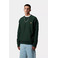 Carhartt Wip sweater green 2