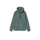 Carhartt Wip hoodie green 1