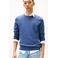 Tommy Hilfiger sweater bleu 2