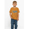 The New t-shirts camel 2