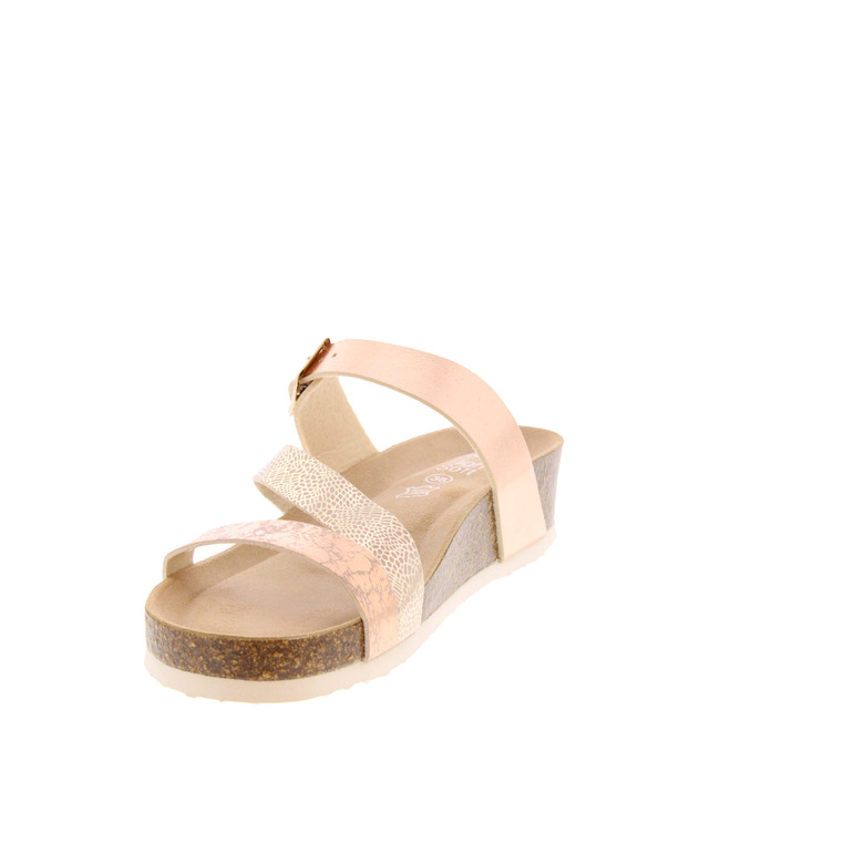 Ara tongs rose 3