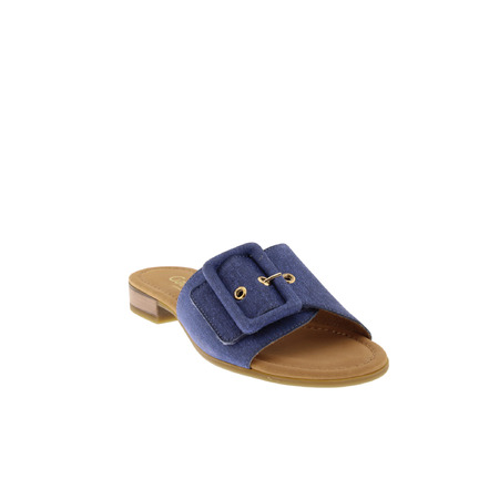 Gabor thong slippers blue