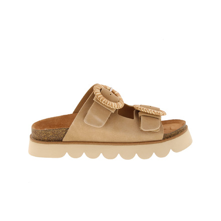 No Name tongs camel