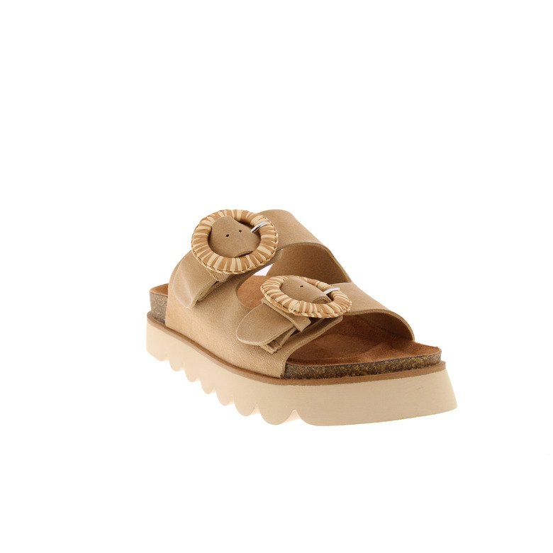 No Name tongs camel 2