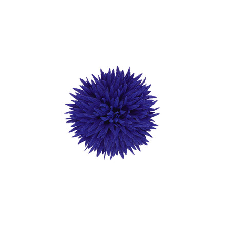 Les Cordes broche bleu