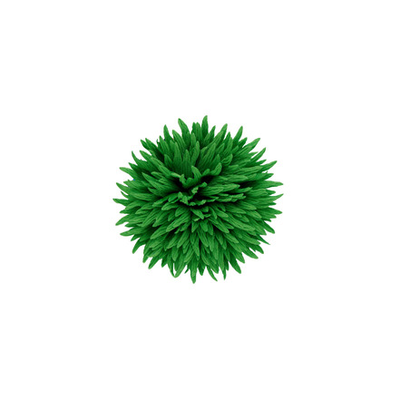 Les Cordes broche green