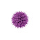 Les Cordes broche violet 1