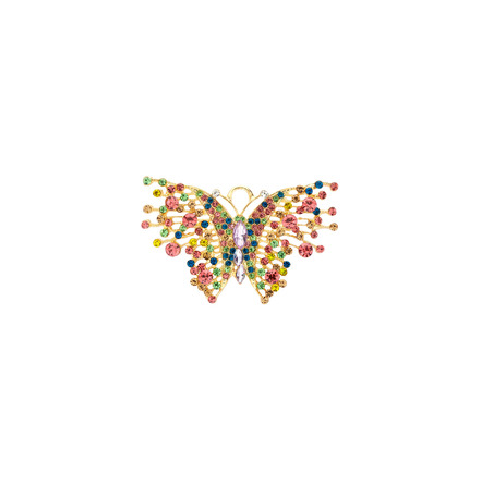Les Cordes broche multicolor