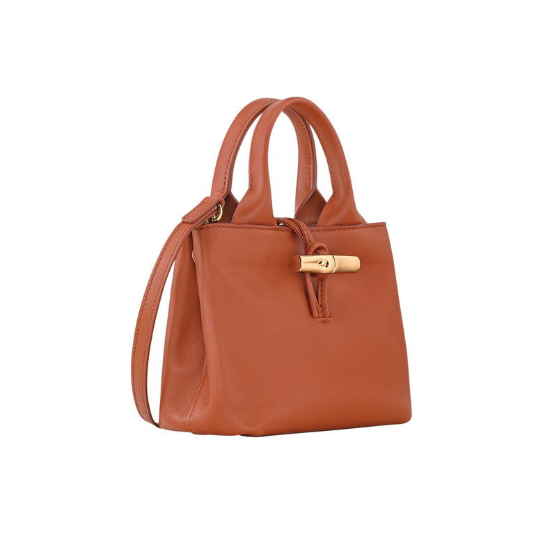 Longchamp handbag brown 2