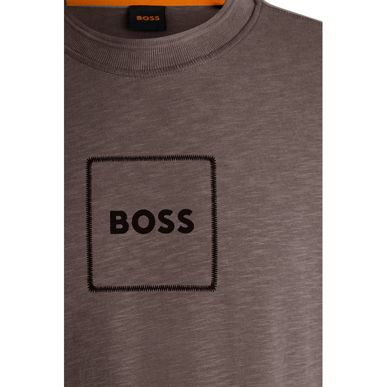 Boss t-shirts brown 2