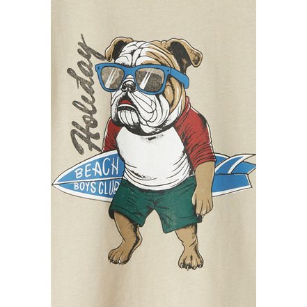 Name It Jongens t-shirts lightbrown