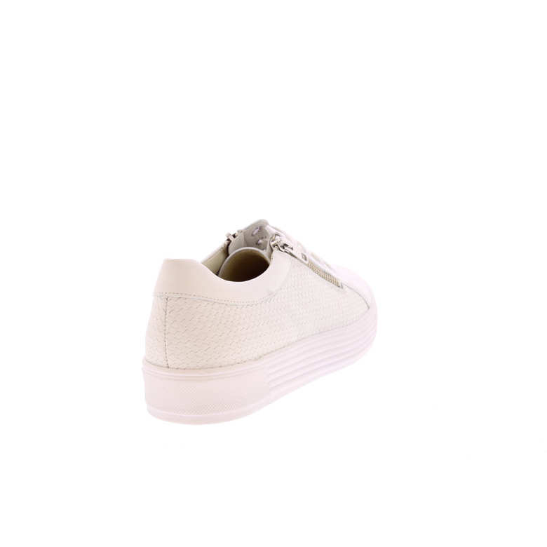 Solidus sneakers blanc 4