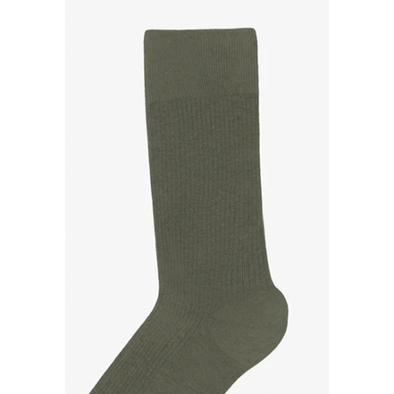 Colorful Standard socken grÜn