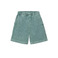 Carhartt Wip short green 1