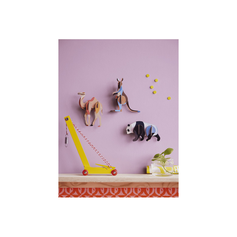 Roof Studio diverse multicolor 2