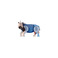 Roof Studio divers bleu 1