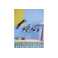 Roof Studio divers bleu 2