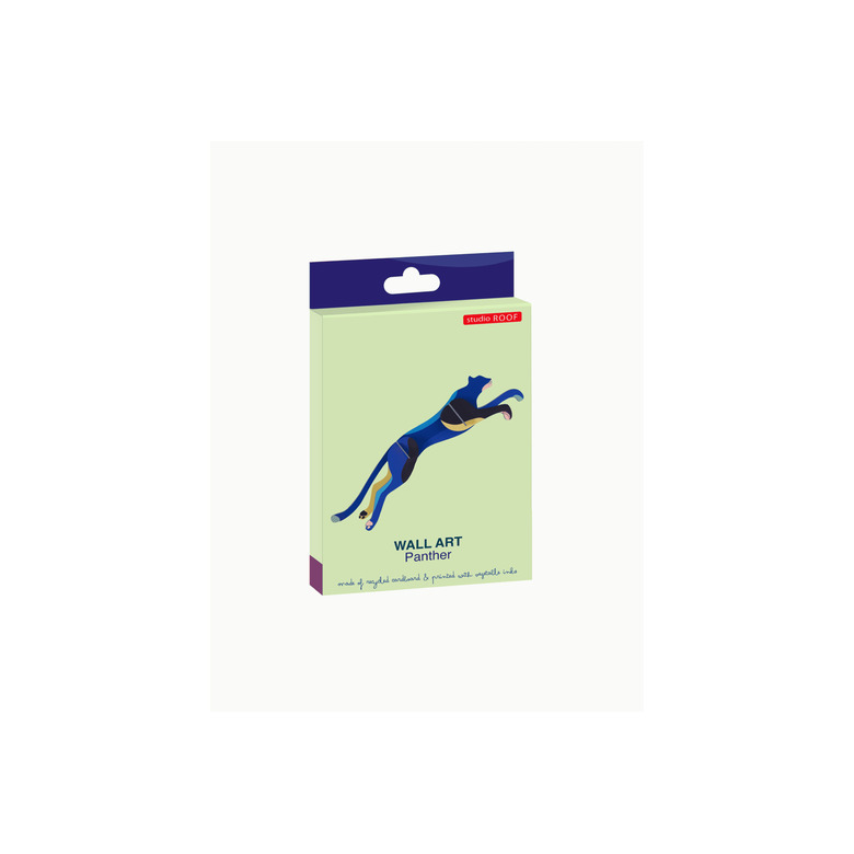 Roof Studio divers bleu 3