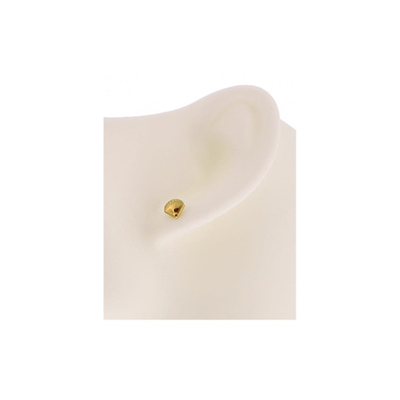 Kimchi earrings gold