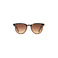 Komono sunglasses brown 1
