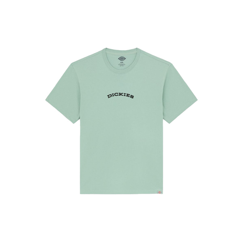 Dickies t-shirts green