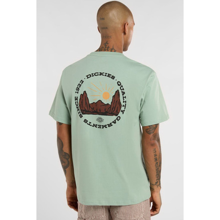 Dickies t-shirts green