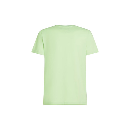 Tommy Hilfiger t-shirts green