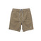 Salty Crew short green 1