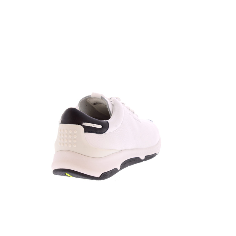 Tbs sneakers white 4