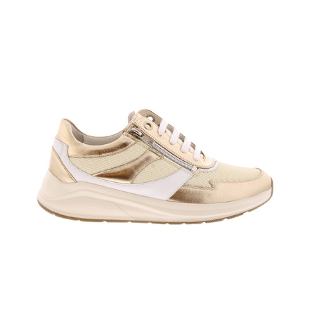 Solidus sneakers or