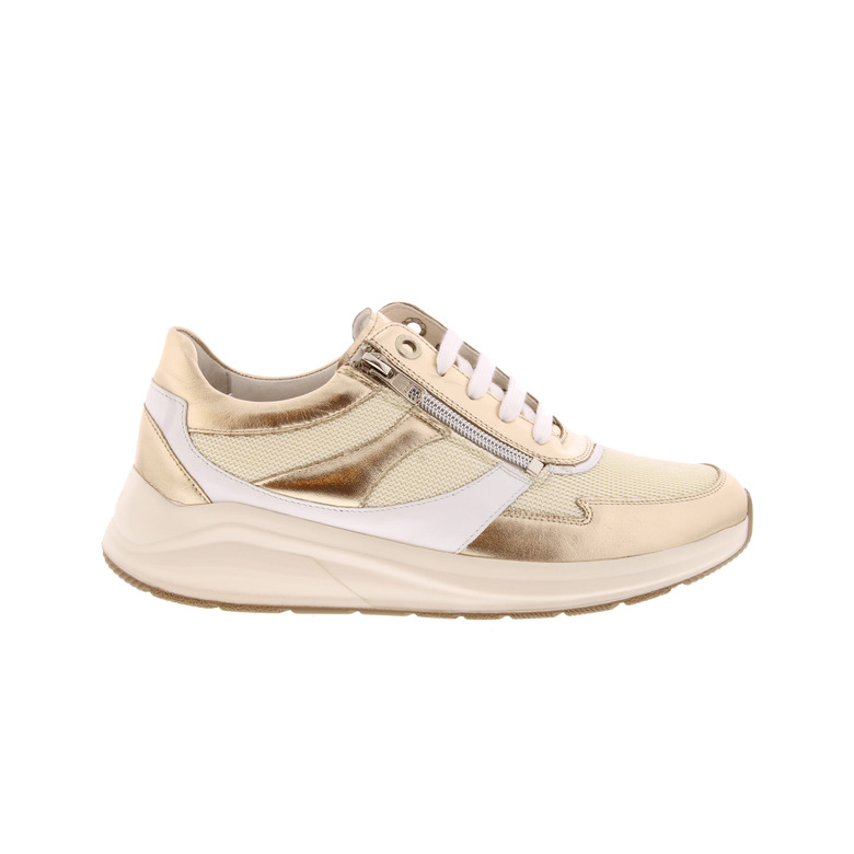 Solidus sneakers or