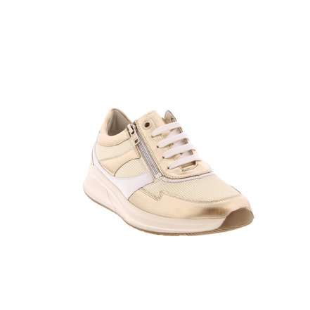 Solidus sneakers or