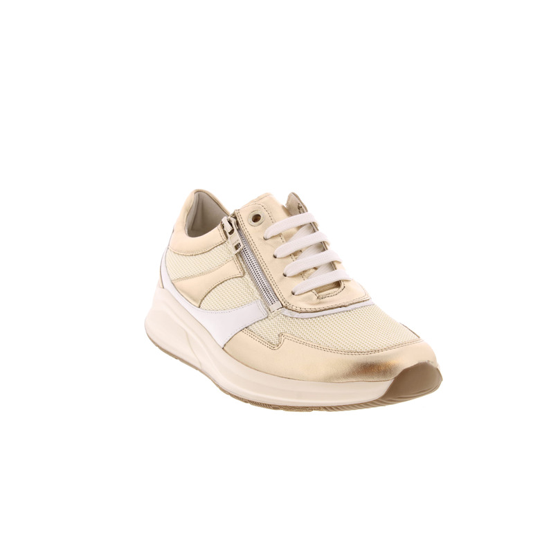 Solidus sneakers or 2