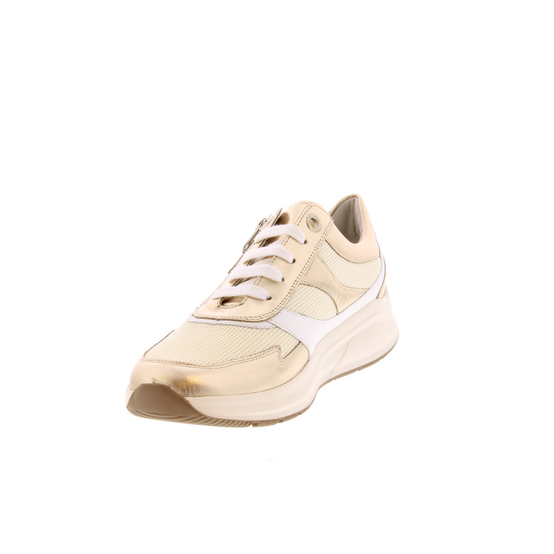 Solidus sneakers or 3