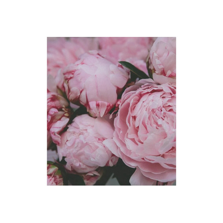 Savonneries Bruxelloises care pink