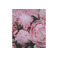 Savonneries Bruxelloises care pink 2