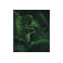 Savonneries Bruxelloises care green 2