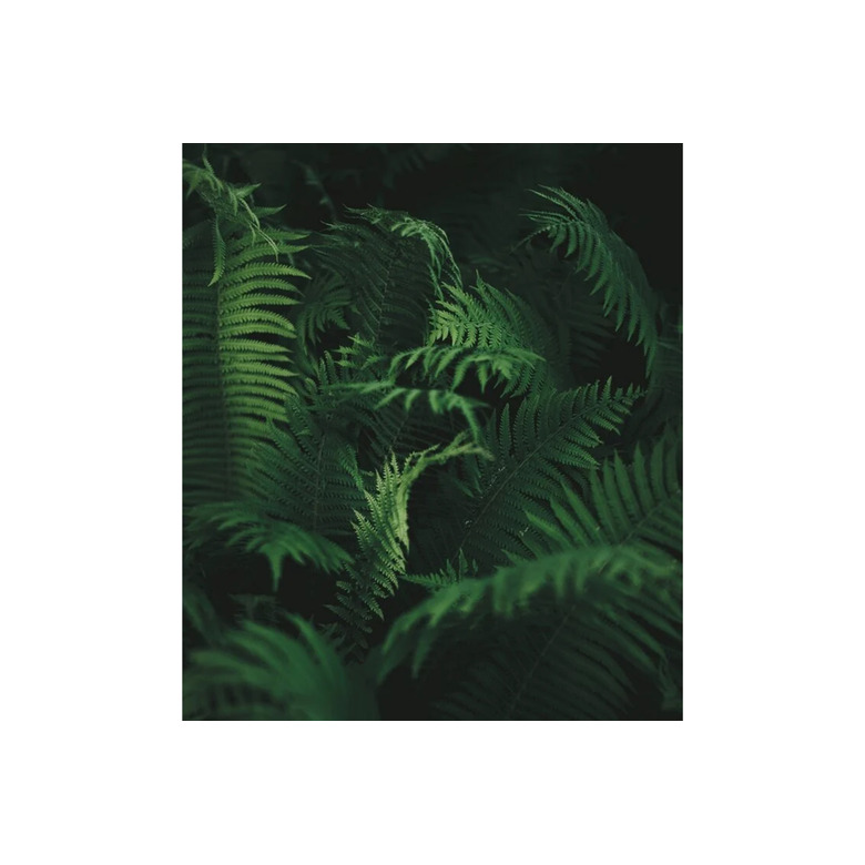 Savonneries Bruxelloises care white 2