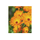 Savonneries Bruxelloises care yellow 2