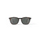 Izipizi sunglasses brown 1