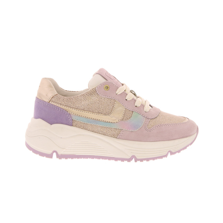 Little David sneakers multicolor