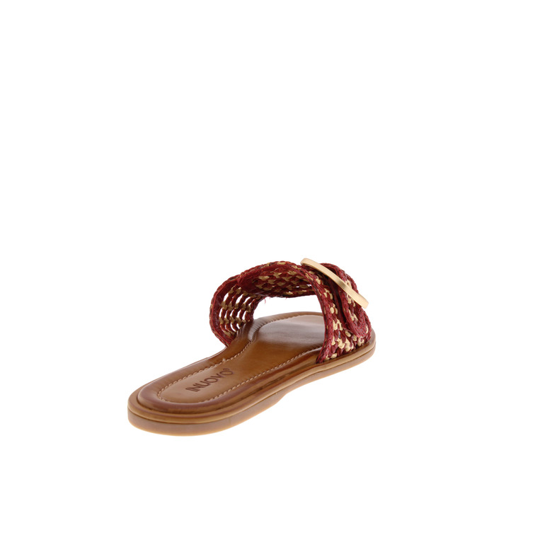 Inuovo slippers rot 4