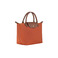 Longchamp handbag orange 2