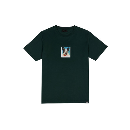 Antwrp t-shirt vert