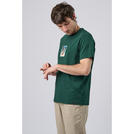 Antwrp t-shirt vert