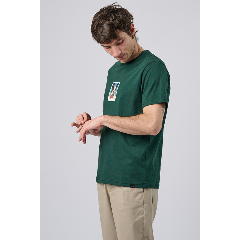 Antwrp t-shirts green 2