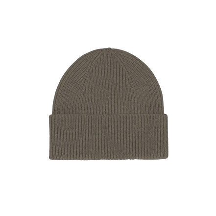 Colorful Standard beanie green