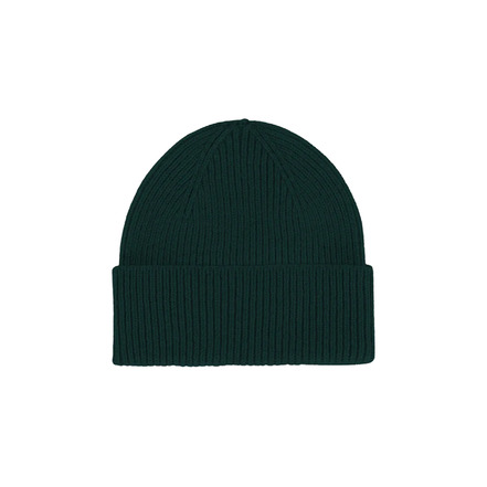 Colorful Standard beanie green