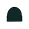 Colorful Standard beanie green 1
